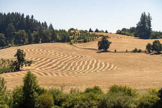 Farms in Oregon, Farmland in Oregon, Hay farm in Oregon