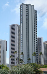 Modern high-rise residential apartment towers in Honolulu with palm trees swaying in the wind against a bright blue sky. Urban architecture, vertical living, and tropical city lifestyle.