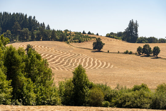 Farms in Oregon, Farmland in Oregon, Hay farm in Oregon