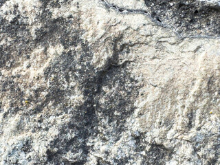 Close-up of weathered rock surface with textured patterns