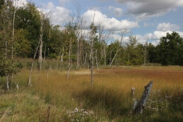SOOS nature reserve hot mud volcano
