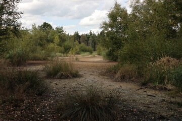 SOOS nature reserve hot mud volcano