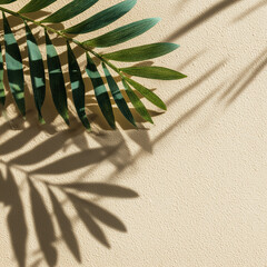 Top view of green tropical leaf shadow on sand color background. Flat lay. Minimal summer concept with palm tree leaf. Creative copyspace