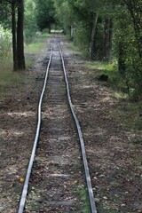 Old cargo railroad in forest