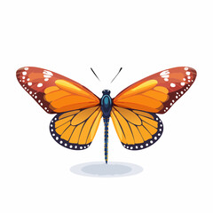 Fototapeta premium Schmetterling