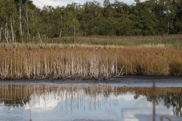 SOOS nature reserve hot mud volcano