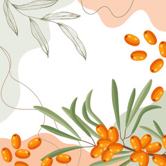 Sea buckthorn berries background. Composition of sea buckthorn berries with organic shapes and leaves on an abstract background. Card, banner, poster.