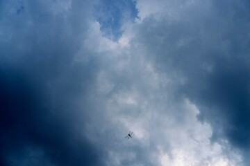 Dragon fly wandering around on blue sky