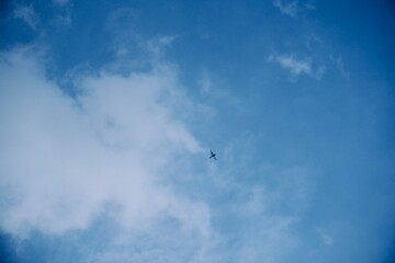 Dragonfly in the sky