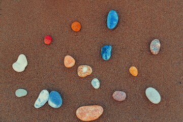 background of the sea shells on sand