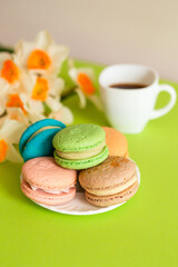 several beautiful traditional macaroons and coffee on white dishes, with daffodils nearby, on a green plain background
