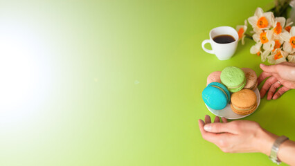 several beautiful traditional macaroons and coffee on white dishes, with daffodils nearby, on a green plain background