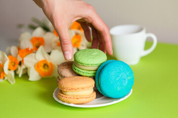 several beautiful traditional macaroons and coffee on white dishes, with daffodils nearby, on a green plain background