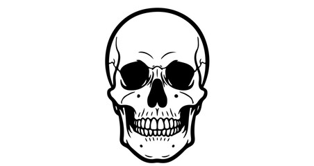 Illustration of a human skull with detailed features, perfect for tattoo design