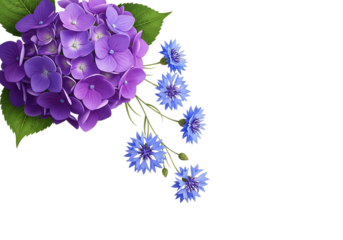 A cluster of vibrant purple hydrangeas with delicate blue cornflowers isolated on transparent background