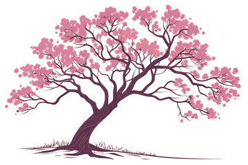 Realistic vector illustration of a beautiful redbud tree with magenta blossoms