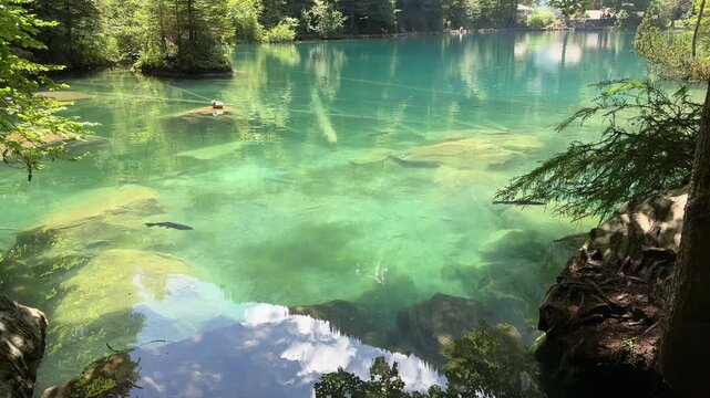 Crystal-clear Blausee lake in Switzerland, where the water is so transparent you can see fish swimming below. Pristine alpine nature, peaceful atmosphere, and stunning natural beauty. Kandergrund 