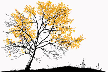 Autumn birch tree vibrant golden foliage vector illustration scalable nature art
