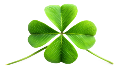 Fourleaf clover isolated on transparent background, a rare and cherished symbol of extraordinary luck and good fortune, embodying hope and serendipity