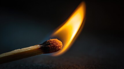 Close-up of a burning match with vibrant flame against a dark backdrop, highlighting the intense energy and delicate nature of the fire.