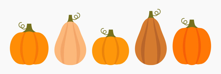 Pumpkins and squashes autumn collection harvest. Elements for design. Vector illustration.