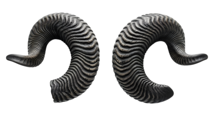 Pair of textured ram horns with a striped pattern, isolated on transparent background