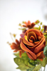 A beautiful bouquet photographed indoors