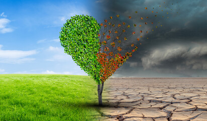 Tree in an imaginary landscape in climate change from drought to green growth