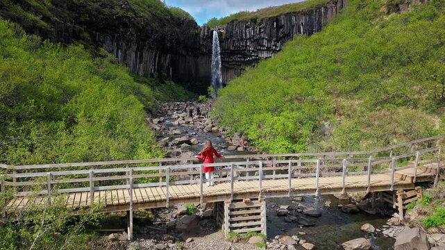 Tourist woman walking on wooden bridge near Svartifoss waterfall Skaftafell Iceland. 4K cinematic drone footage captures lush greenery and basalt cliff gorge surroundings.