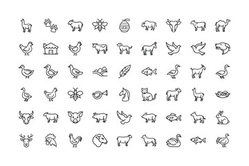 Vector art of a diverse set of 50 simple, handdrawn icons featuring farm animals, poultry, insects, and related agricultural elements, all isolated a