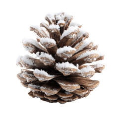 A snow-dusted pine cone, isolated on a transparent background, perfect for winter or Christmas themes. background removed