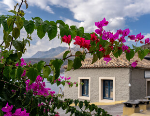 pink house with flowers