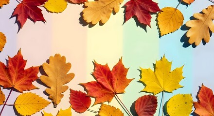 autumn leaves wallpaper with maple leaf, on pastel colorful background