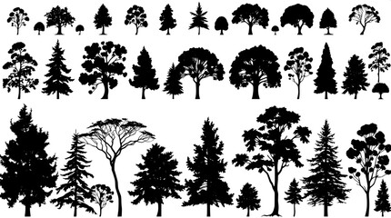 Vector-style illustration of multiple tree species, presented as black silhouettes on a pure white background, with minimal detail and uniform spacing to emphasize the structural variety of foliage, f
