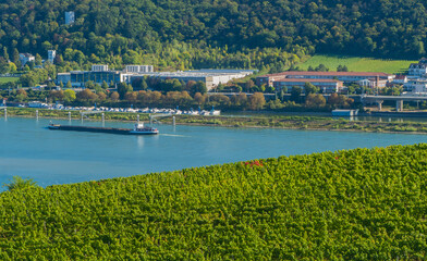 Frachtschiff auf Rhein mit Reben im Vordergrund