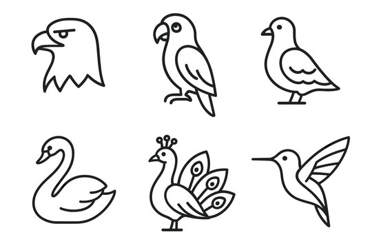 Line art of various bird species including eagle and peacock