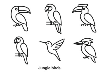 Set of jungle bird line icons featuring toucan parrot hummingbird and hornbill illustrations