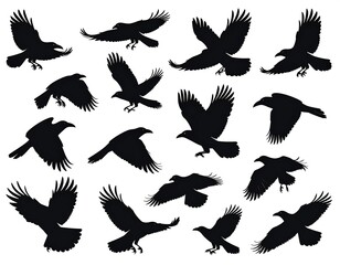 Fototapeta premium Black silhouettes of crows in flight