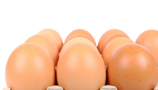 Carton of fresh brown eggs - Powered by Adobe