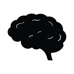 Brain illustration human anatomy medical science health mind intelligence memory learning concept