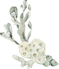 Watercolor frame, wreath with starfish, shells, coral, and seaweed. Ideal for wedding stationery, greeting cards, invitations, posters, nautical party design, and coastal decoration