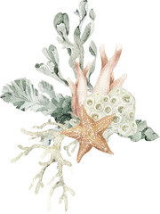 Watercolor frame, wreath with starfish, shells, coral, and seaweed. Ideal for wedding stationery, greeting cards, invitations, posters, nautical party design, and coastal decoration