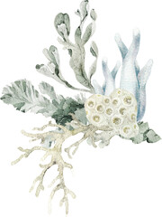 Watercolor frame, wreath with starfish, shells, coral, and seaweed. Ideal for wedding stationery, greeting cards, invitations, posters, nautical party design, and coastal decoration