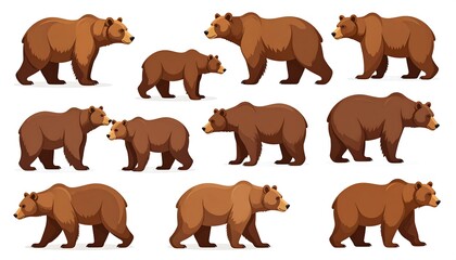 Cartoon brown bears in profile