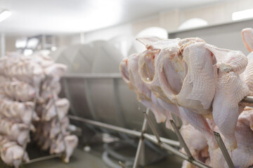 Turkey carcasses on processing line in chilled poultry plant