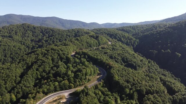 Aerial view of winding asphalt mountain road among green trees in summer. (Domani&ccedil;,İneg&ouml;l dağ yolu)