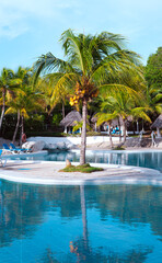 Beautiful Swimming Pool Surrounded by Palm Trees in Tropical Resort.