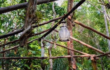 Lantern hanging in a rustic setup surrounded by lively green foliage.