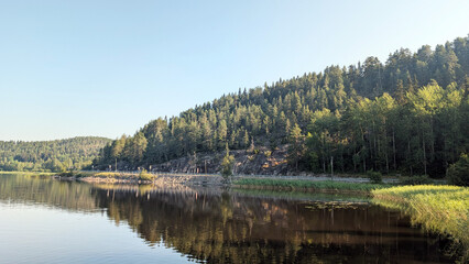 serene landscape featuring the lush, green forests of Karelia reflected in the calm waters of Lake Ladoga under a clear summer sky