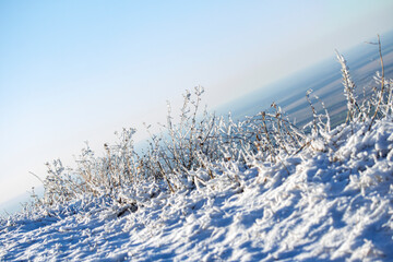 Frozen grass and snow